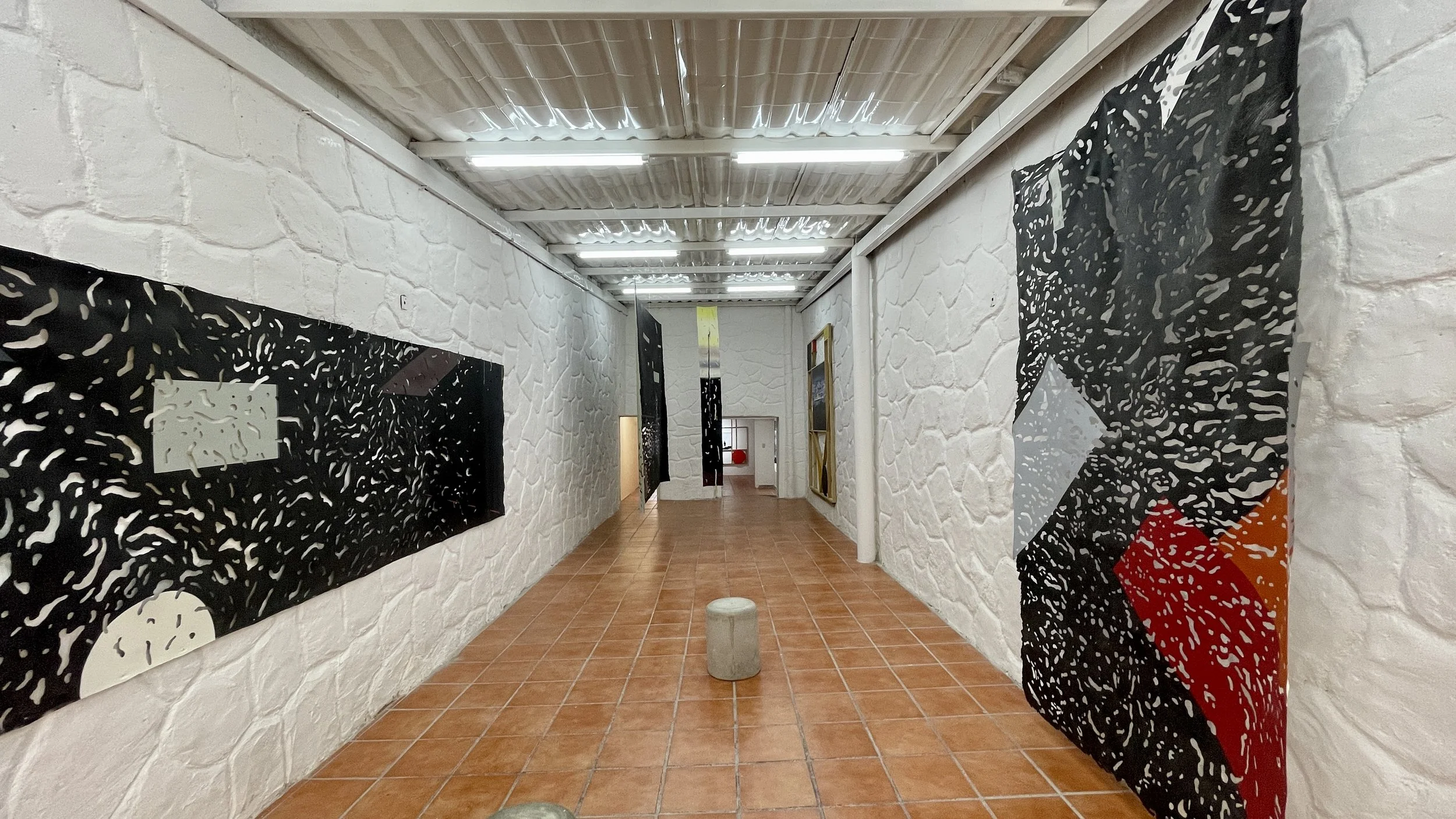 PASTIZAL EN EL TÚNEL