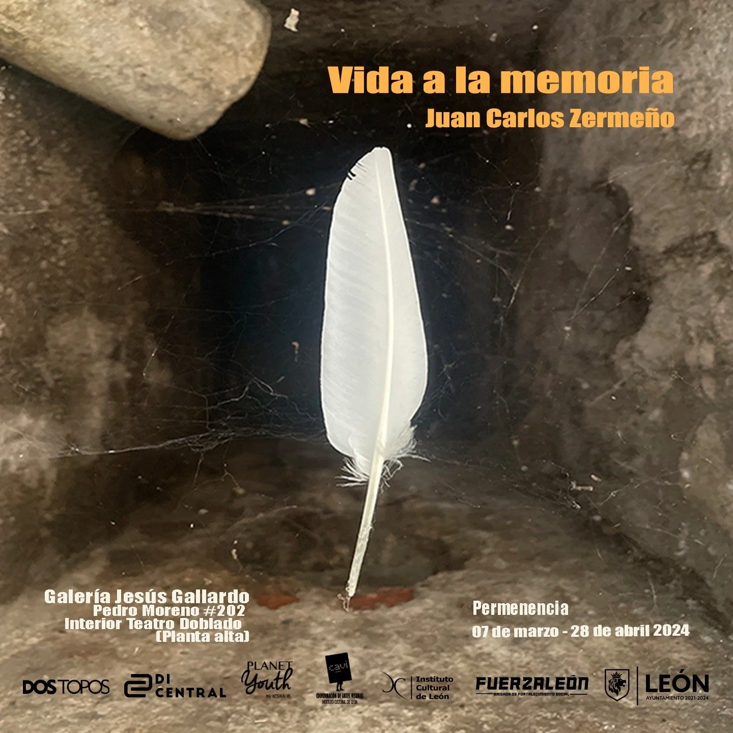 2e548bf9-0981-41da-a037-86f7a75b408f 2.JPG