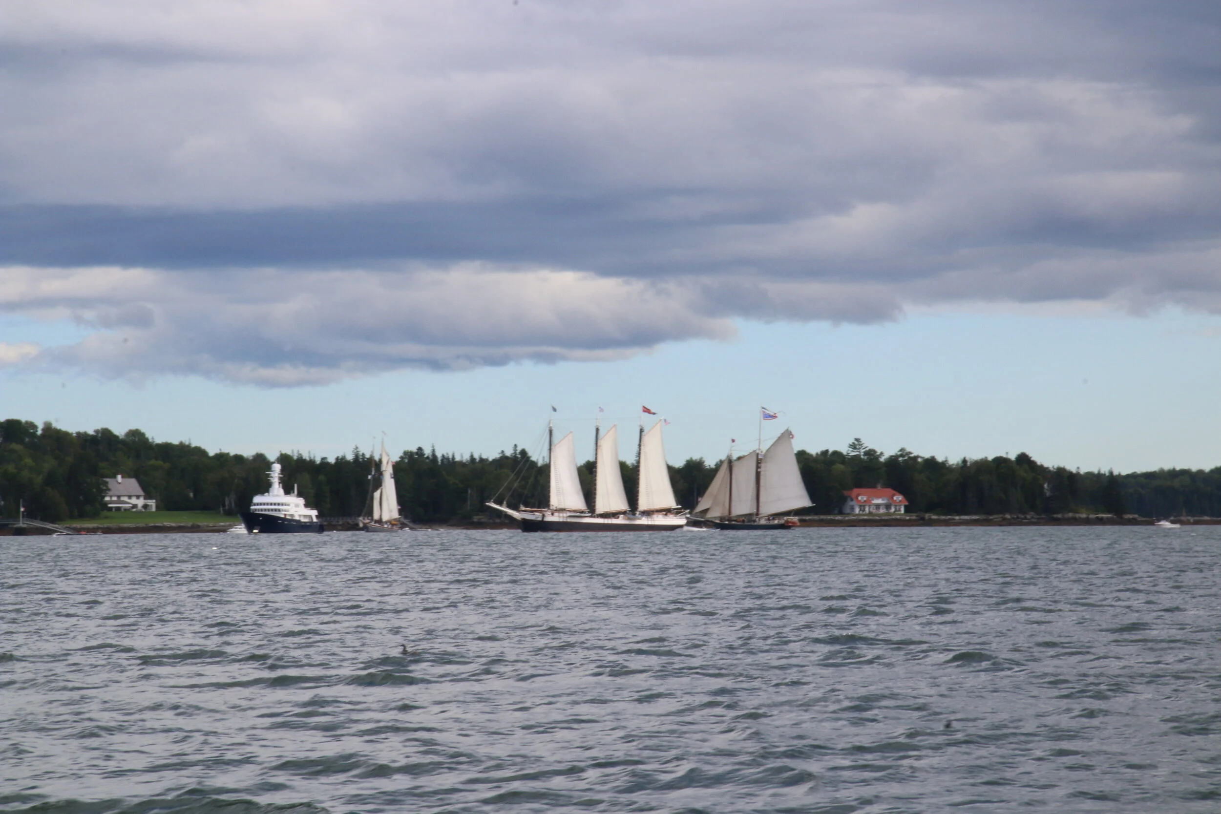 IMG_0489 2.JPG