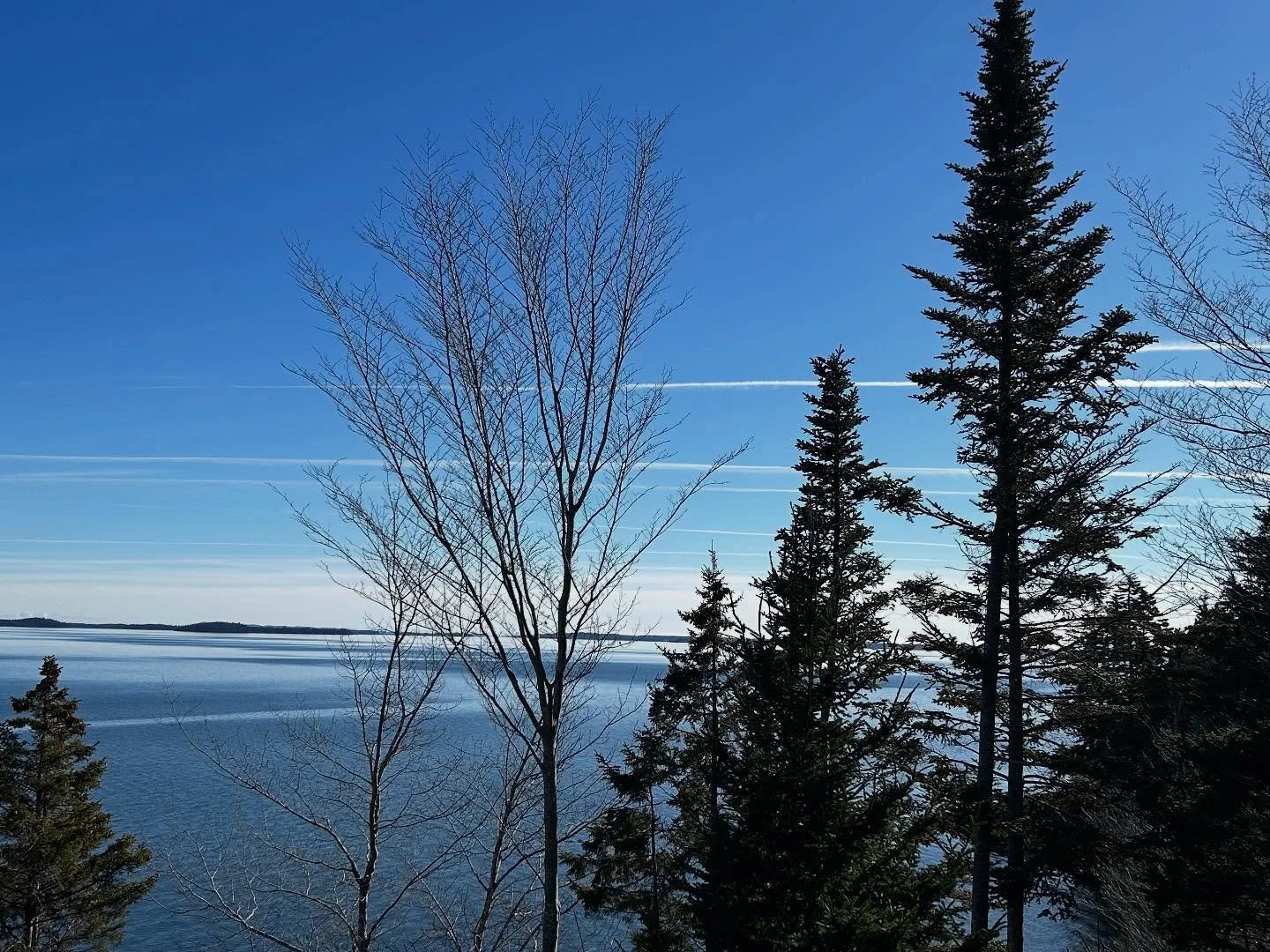 What are the chances the weather will be like this when I do my holiday harvests or sink my gear? 🤣

#eastbay #Eatlocal #eatmoreoysters  #oyster #oysterfarming #kelp #aquaculture  #maine #mainelife  #maineaquaculture #maineoysters #familyfarming #fa