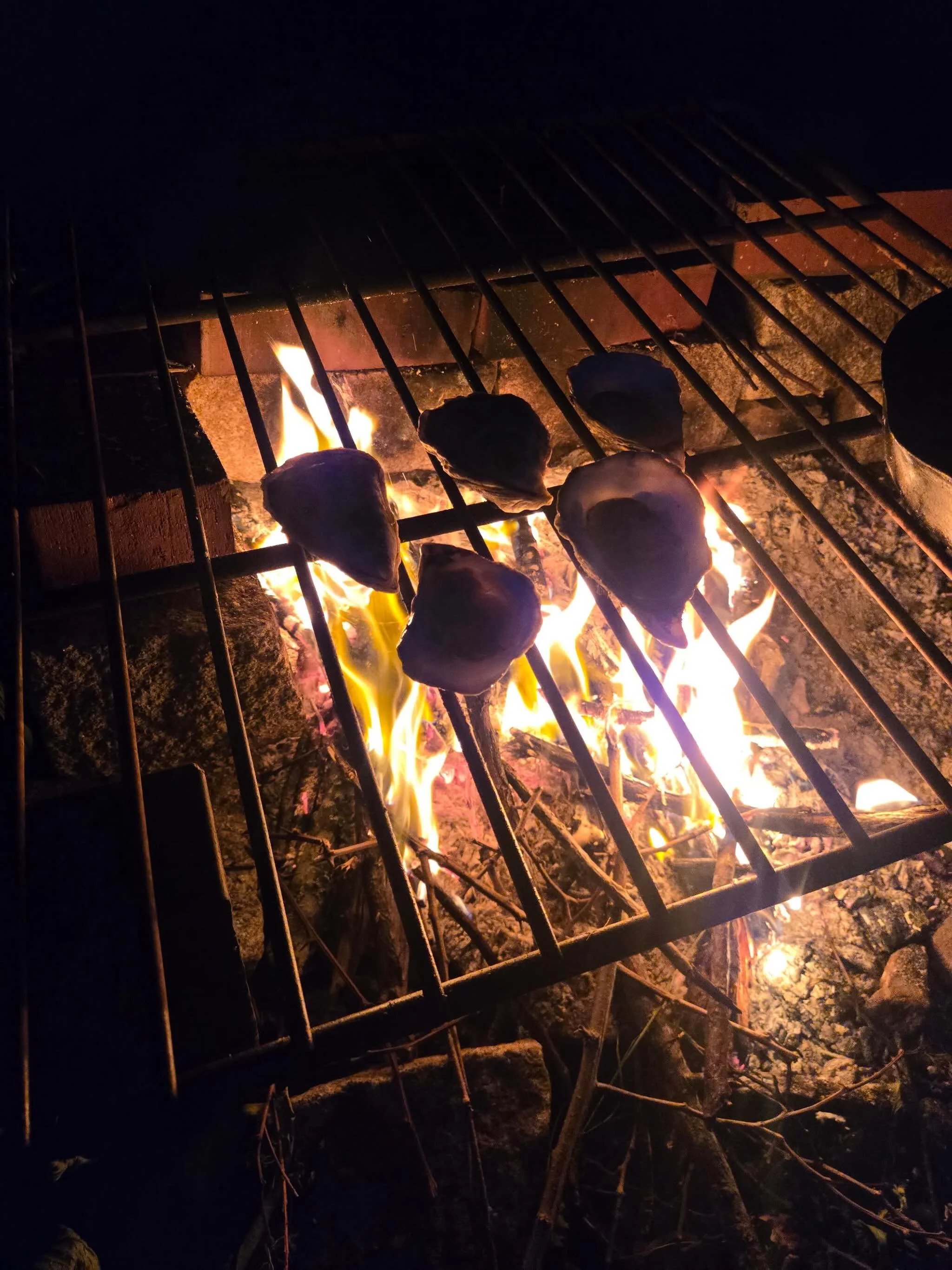 How&rsquo;s everyone enjoying their oysters this summer..?&hellip;.
Yesterday&rsquo;s wild microburst that ripped through the Midcoast left Islesboro without power (and we&rsquo;re still waiting for it to come back on!). I got a bunch of messages ask