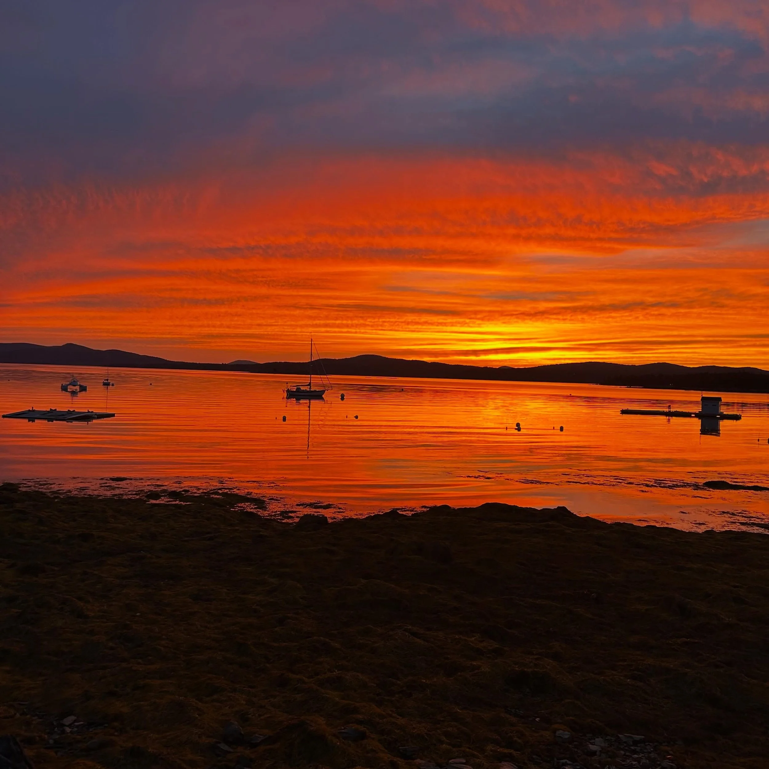 calm before the storm. 

#islandlife #fall #sunset #maine #workingwaterfront