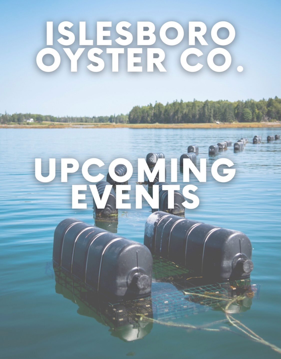 Two weekends, two great Maine events! 
🦪 This weekend: Camden Oyster Festival
🦪 Next weekend: Harvest on the Harbor

We&rsquo;ll be at both&mdash;come find us, grab some oysters, meet some amazing oyster farmers and say hello!

#oyster #oysterfarmi