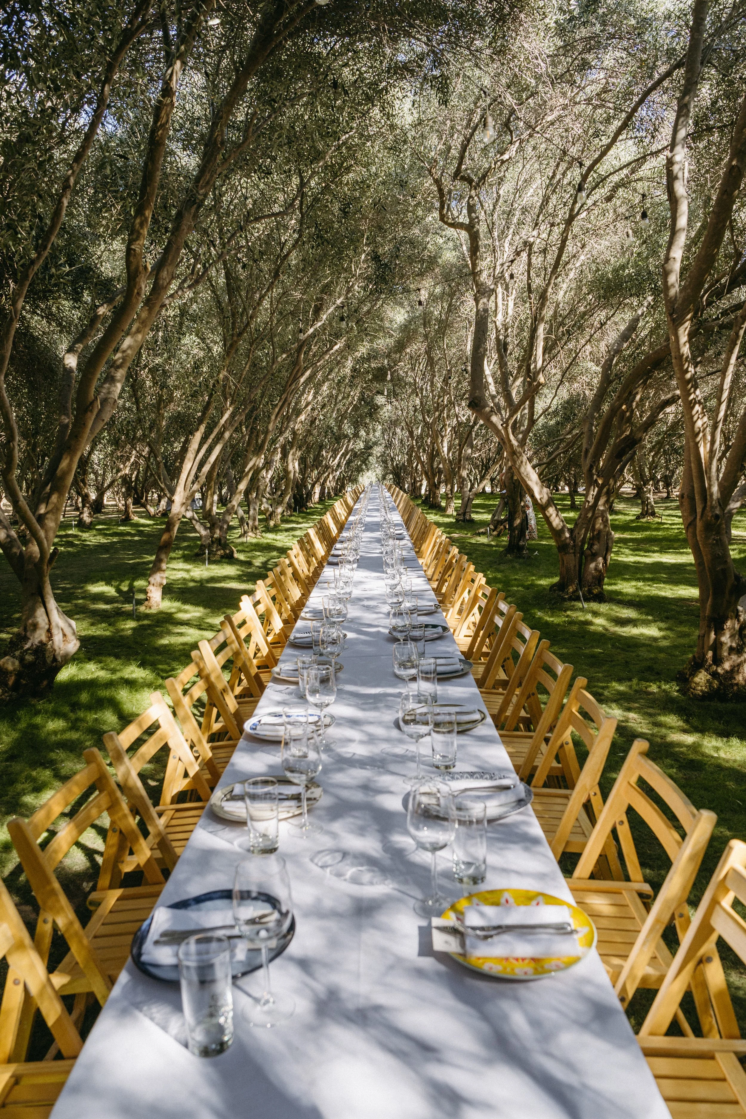 OITF-Kingfisher_KimberlyMotos (30 of 114).jpg