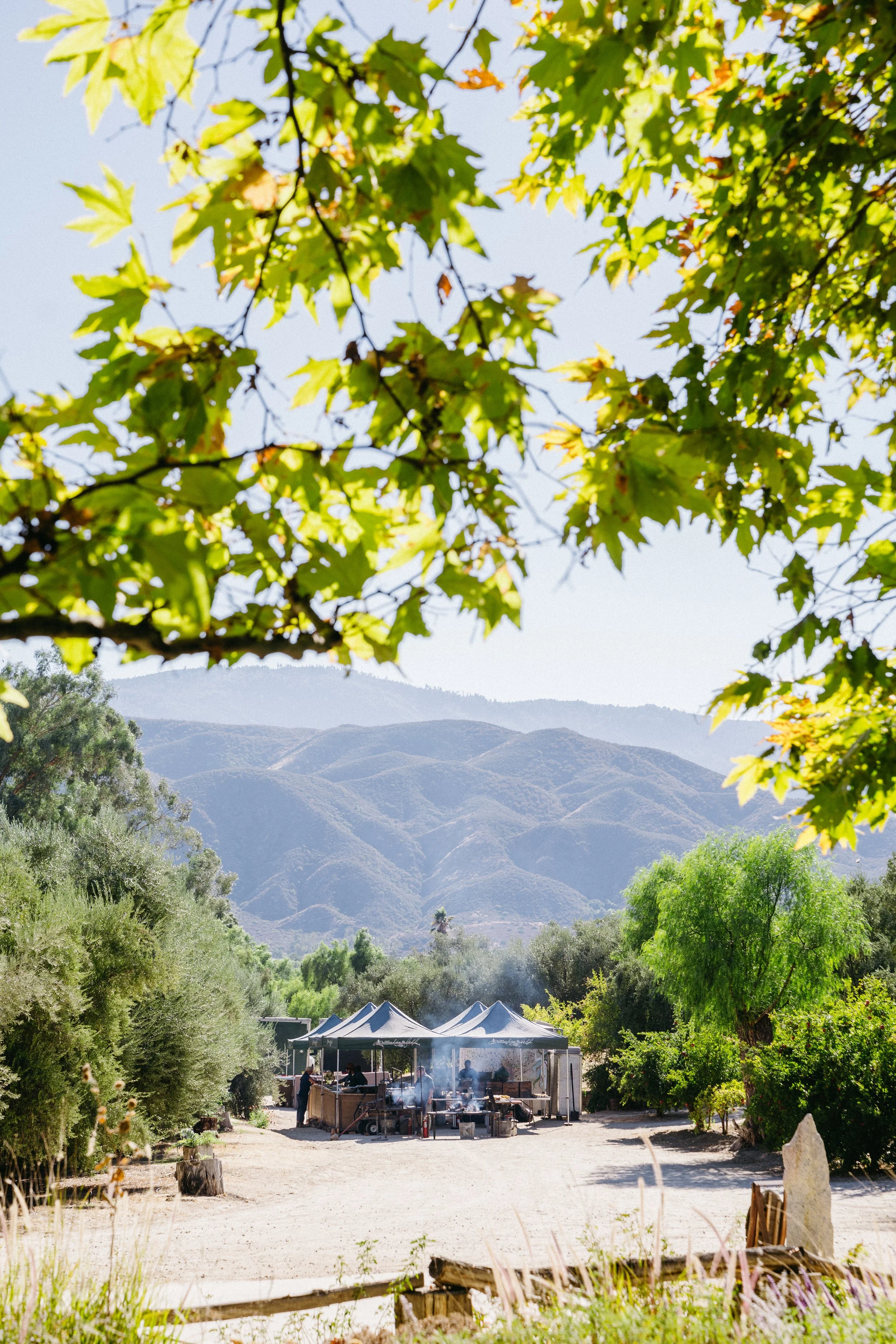 OITF-Kingfisher_KimberlyMotos (36 of 114).jpg