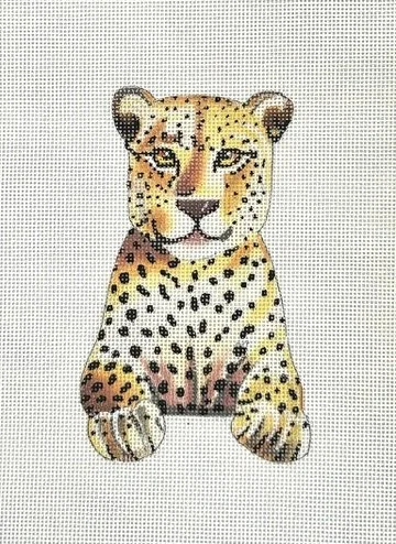 Baby Leopard