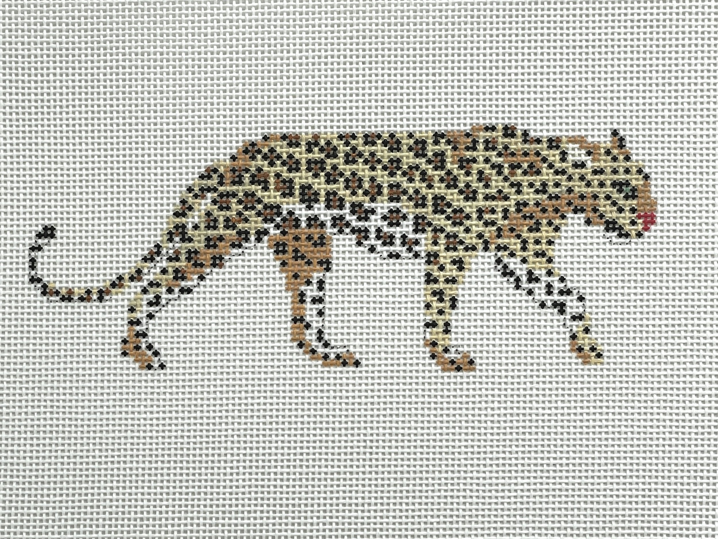 African Leopard.jpeg