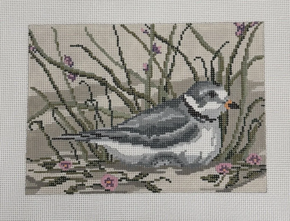 Piping Plover