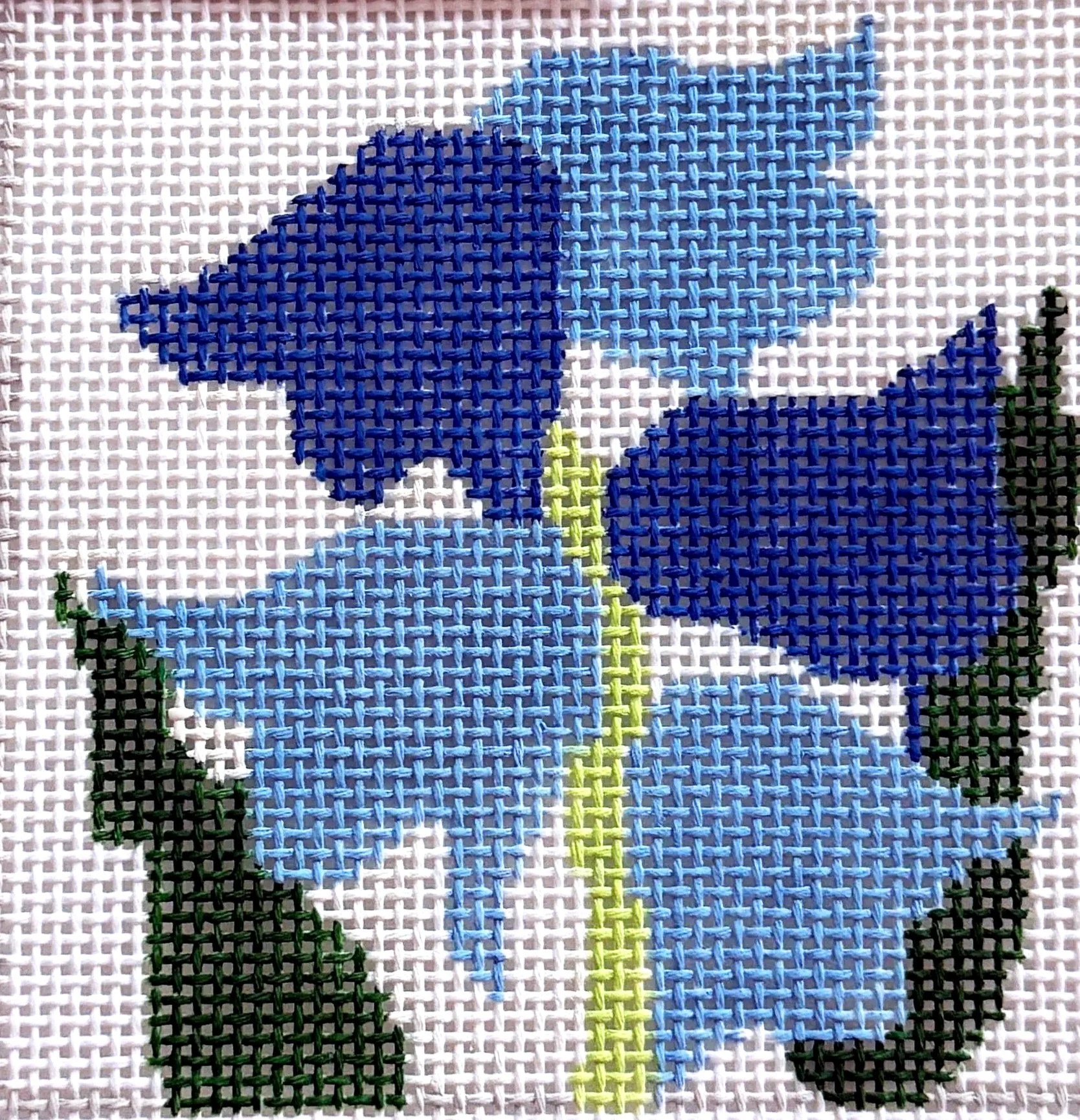 3FDC795D-C2C5-4BE2-8DF6-79832136FC06_1_201_a.jpg