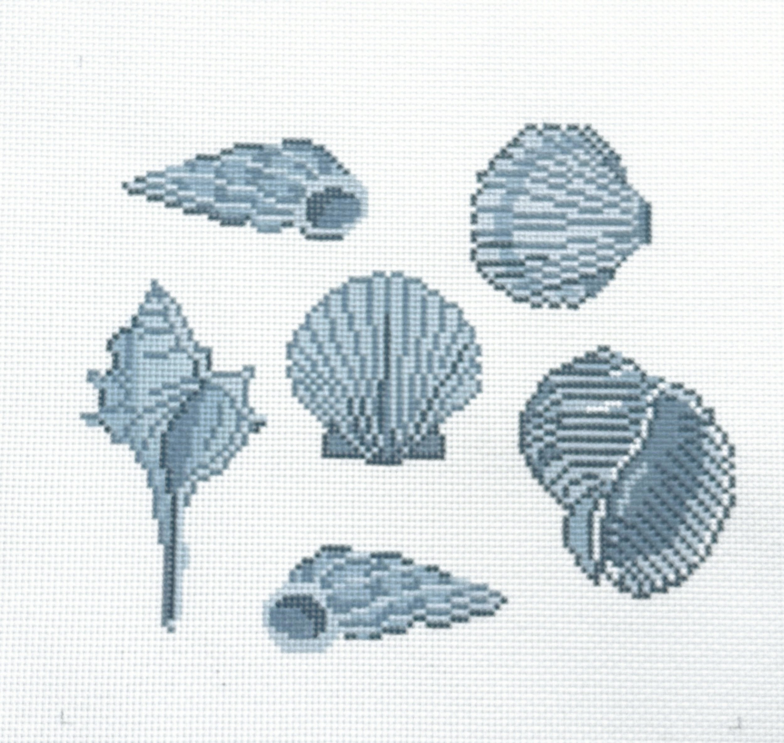 Blue Sea Shells
