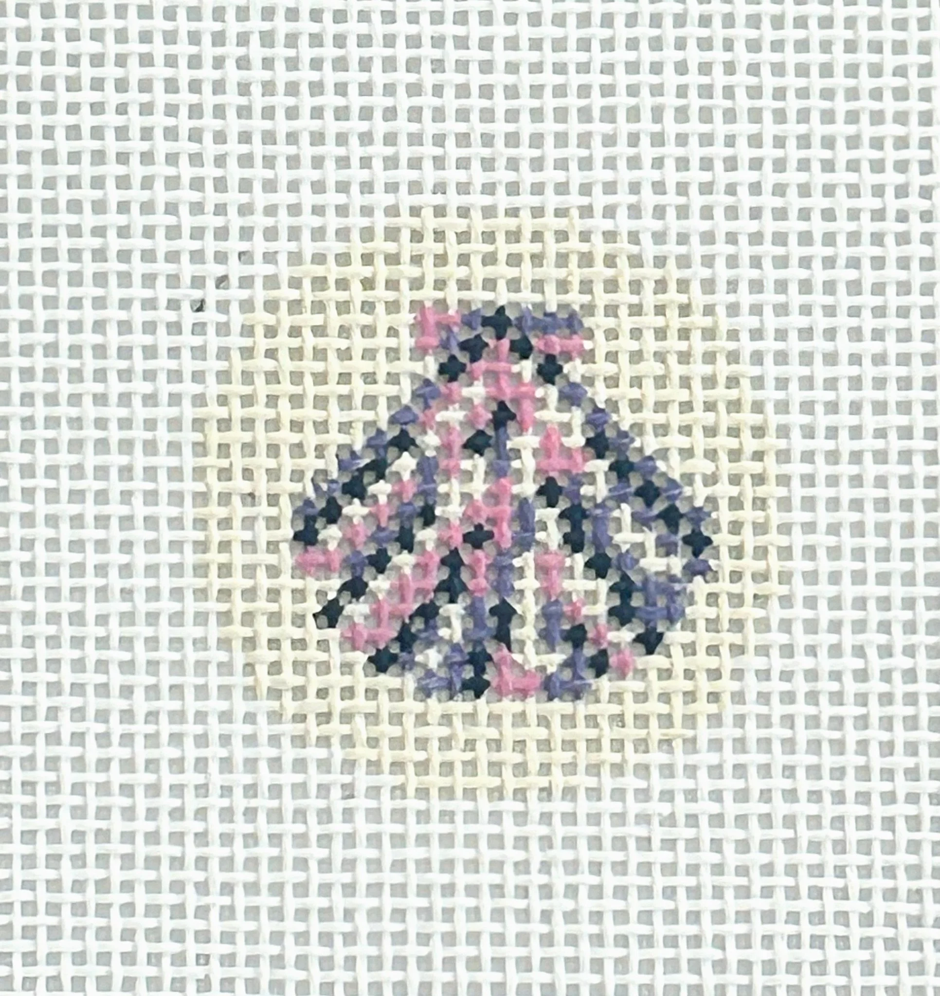Scally Shell