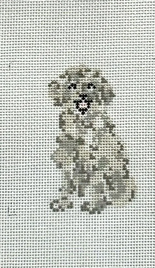 White Toy Poodle