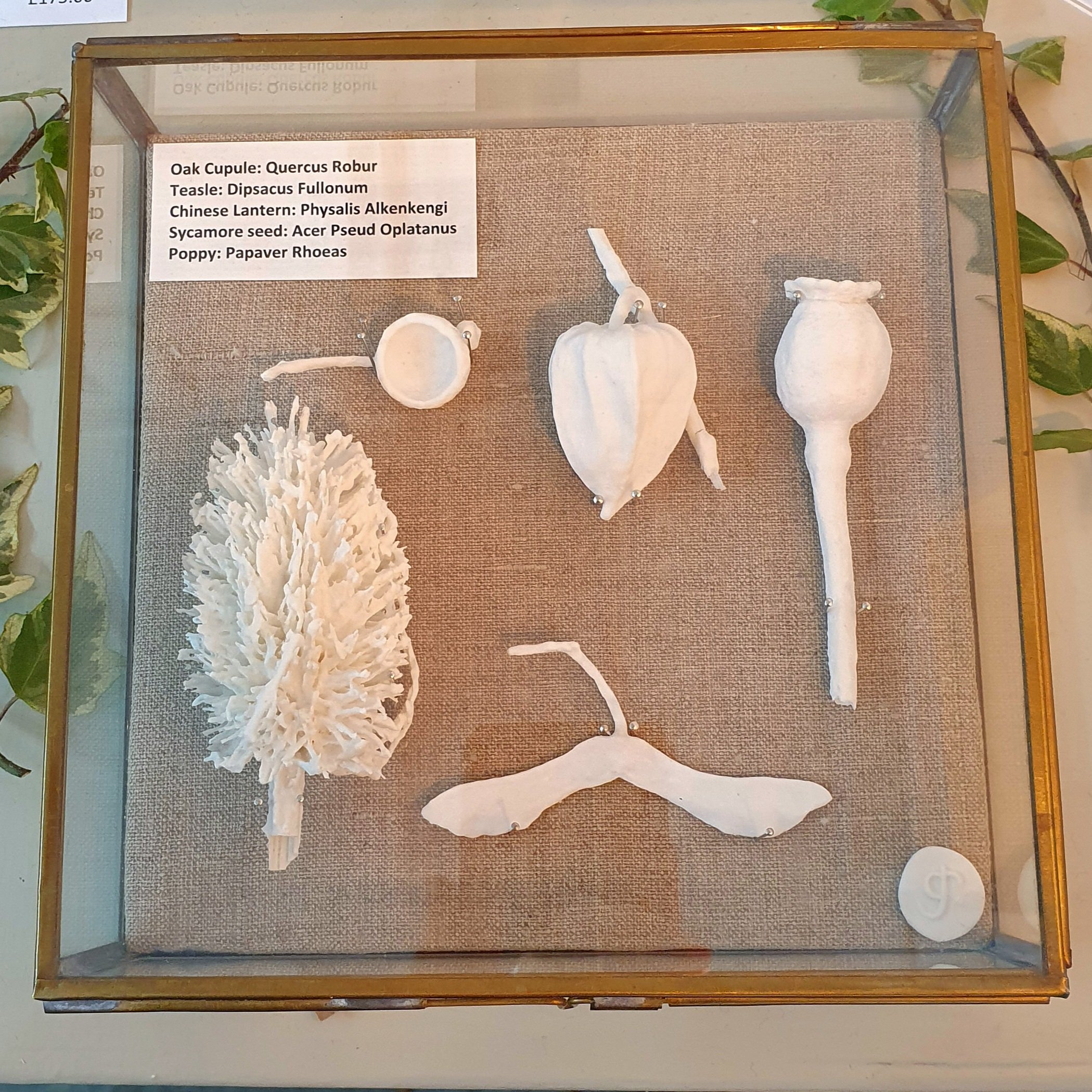 General 2 — Courtyard Gallery