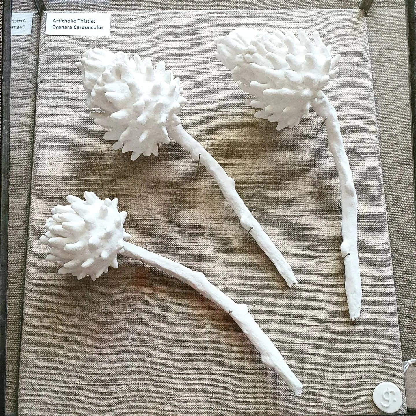 Gerry Rooney — Courtyard Gallery