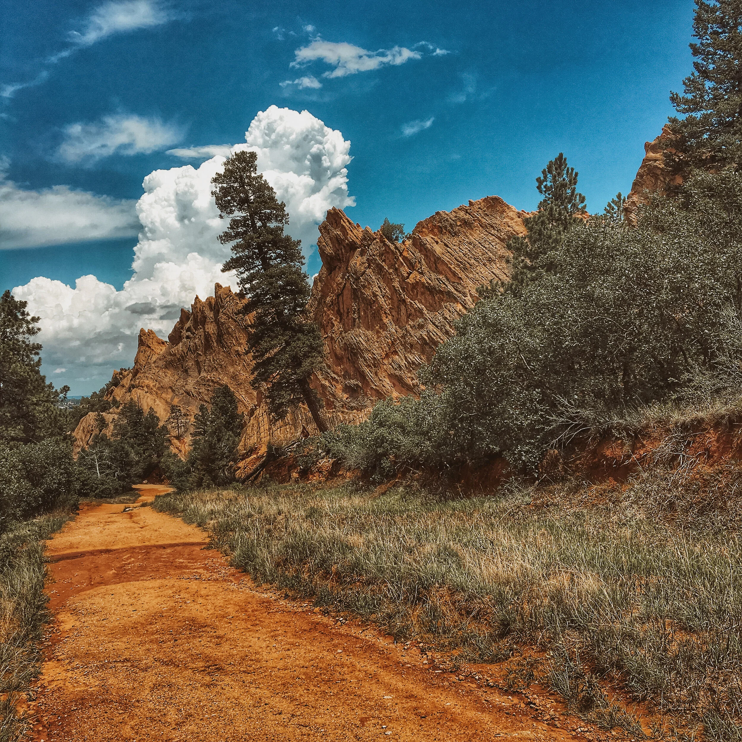 A dirt trail winding through a desert landscape with red rock formations and pine trees under a partly cloudy sky.