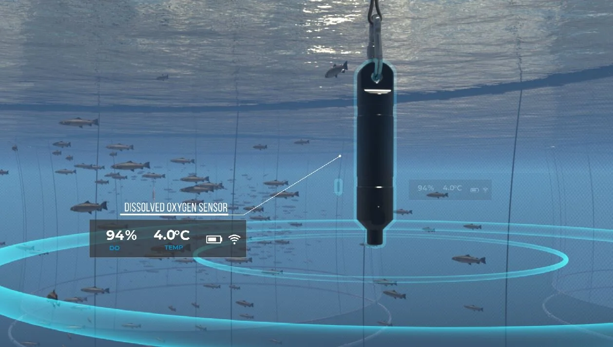InnovaSea.JPG
