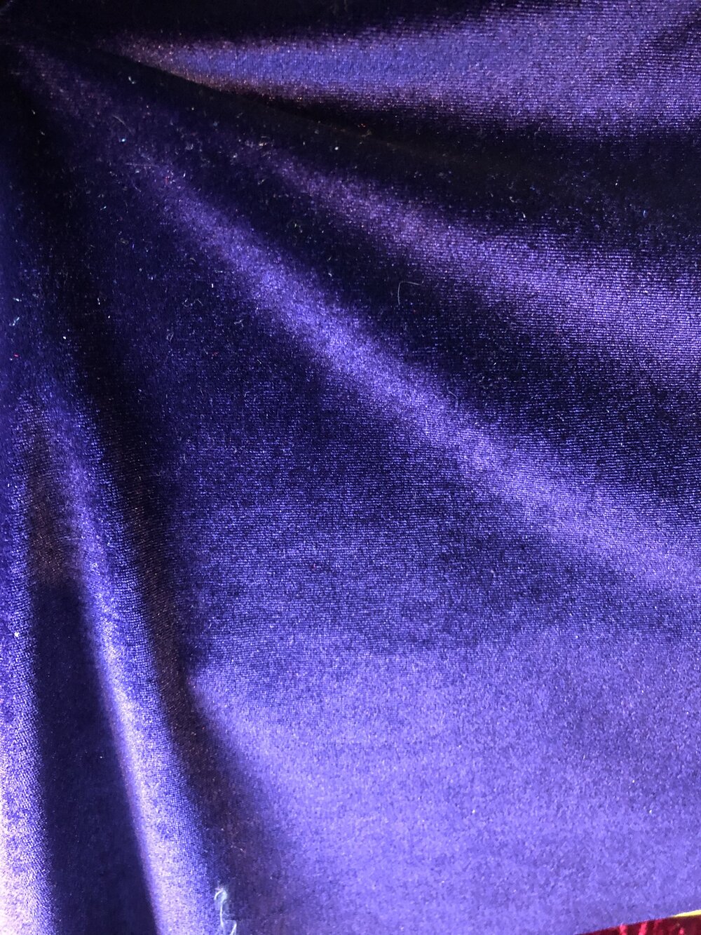 Stretch Velvet - Solid Colors — SAS Fabrics