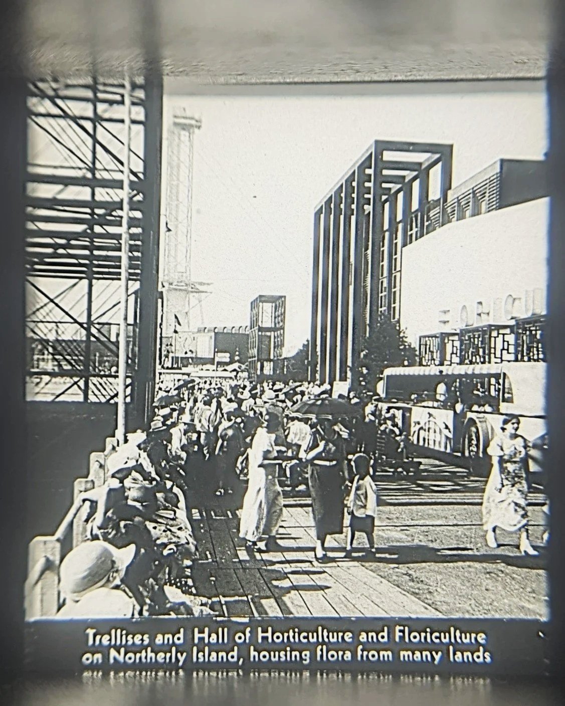 century-progress-horticulture-floriculture.jpg