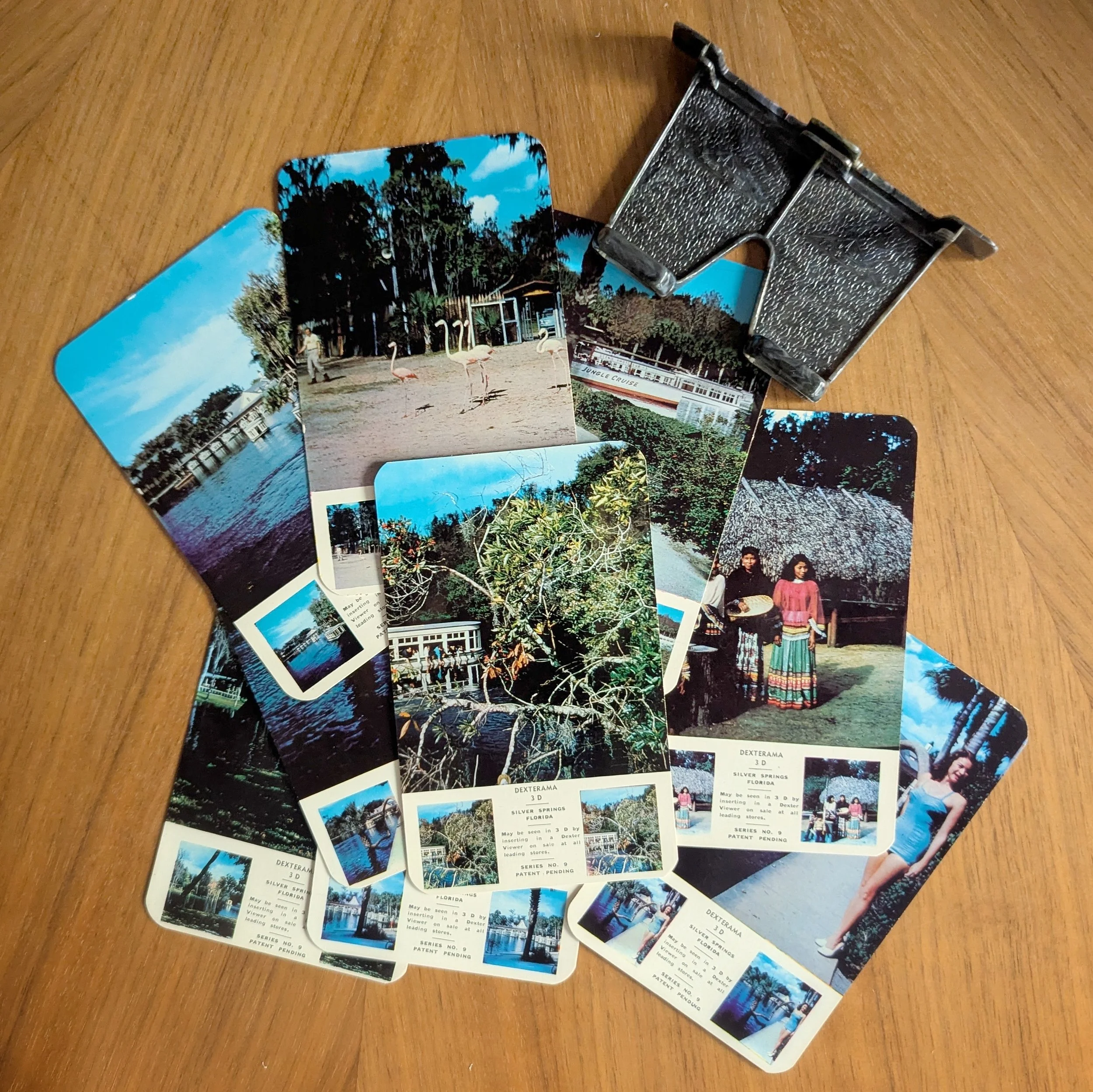 silver-springs-florida-dexterama-set.jpg