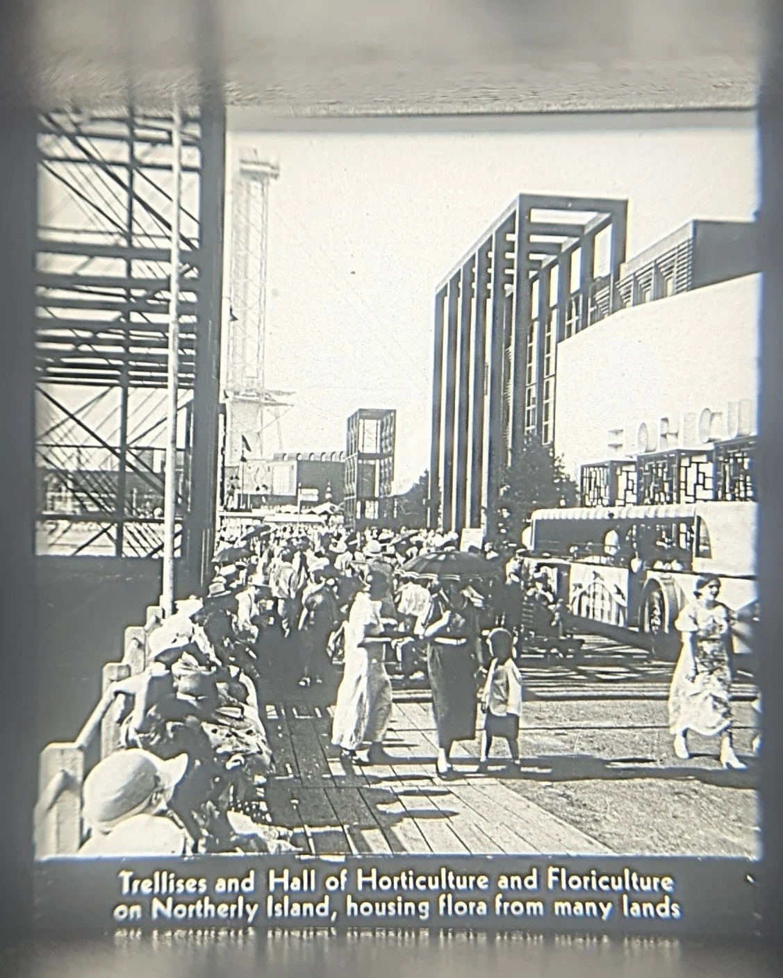 century-progress-horticulture-floriculture.jpg