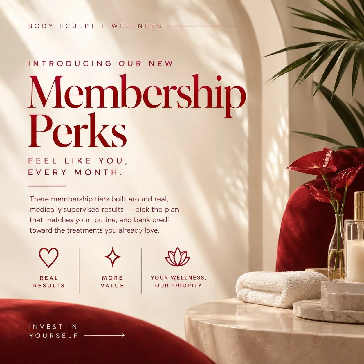 Introducing our new membership✨

Send us a DM to get more information ✔️