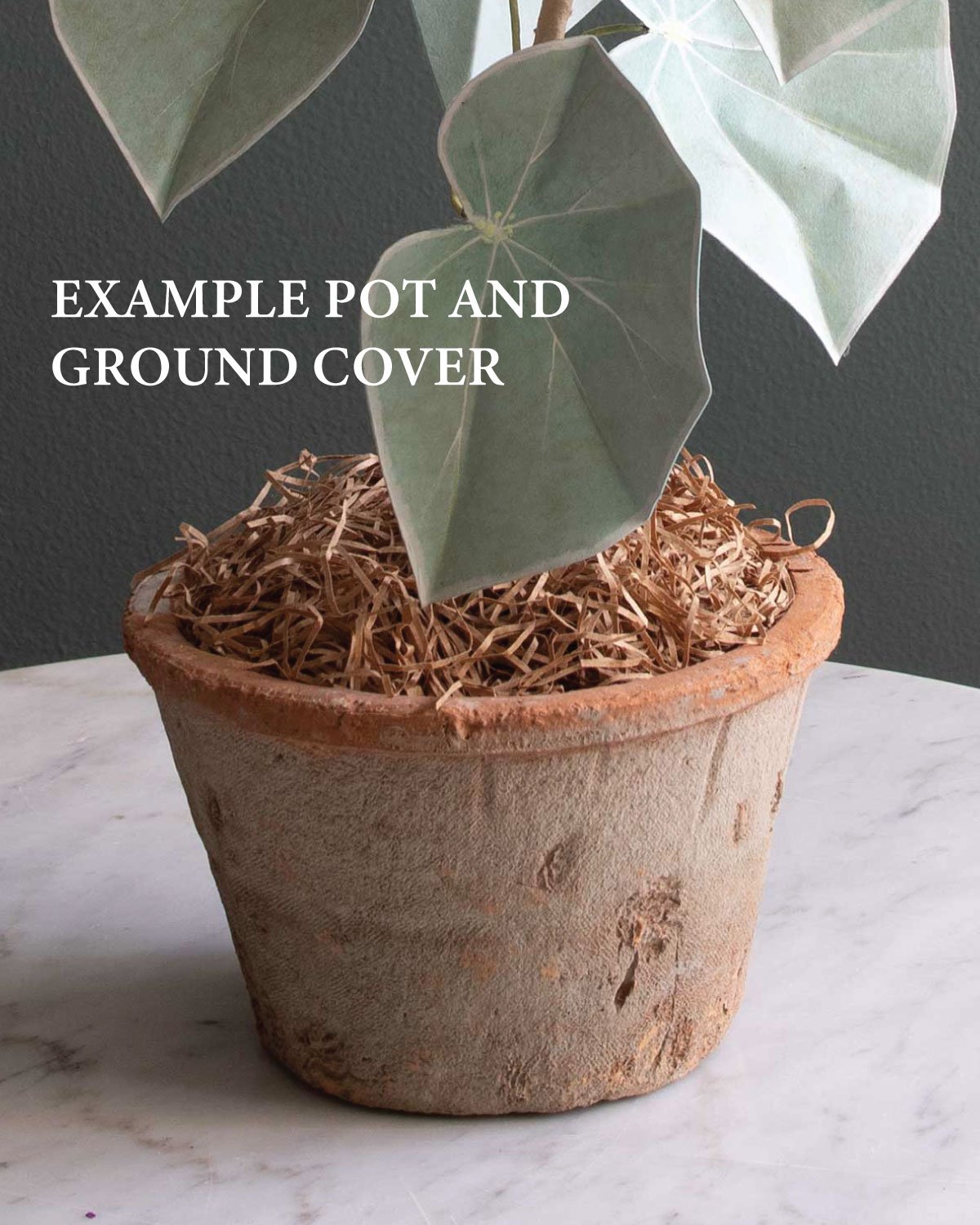 pot.jpg