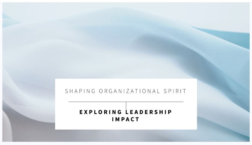 The Spirit of CEOs: How Leadership Shapes an Organization