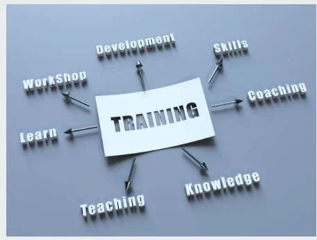 Top Business &amp; Leadership Training Programs for SMBs