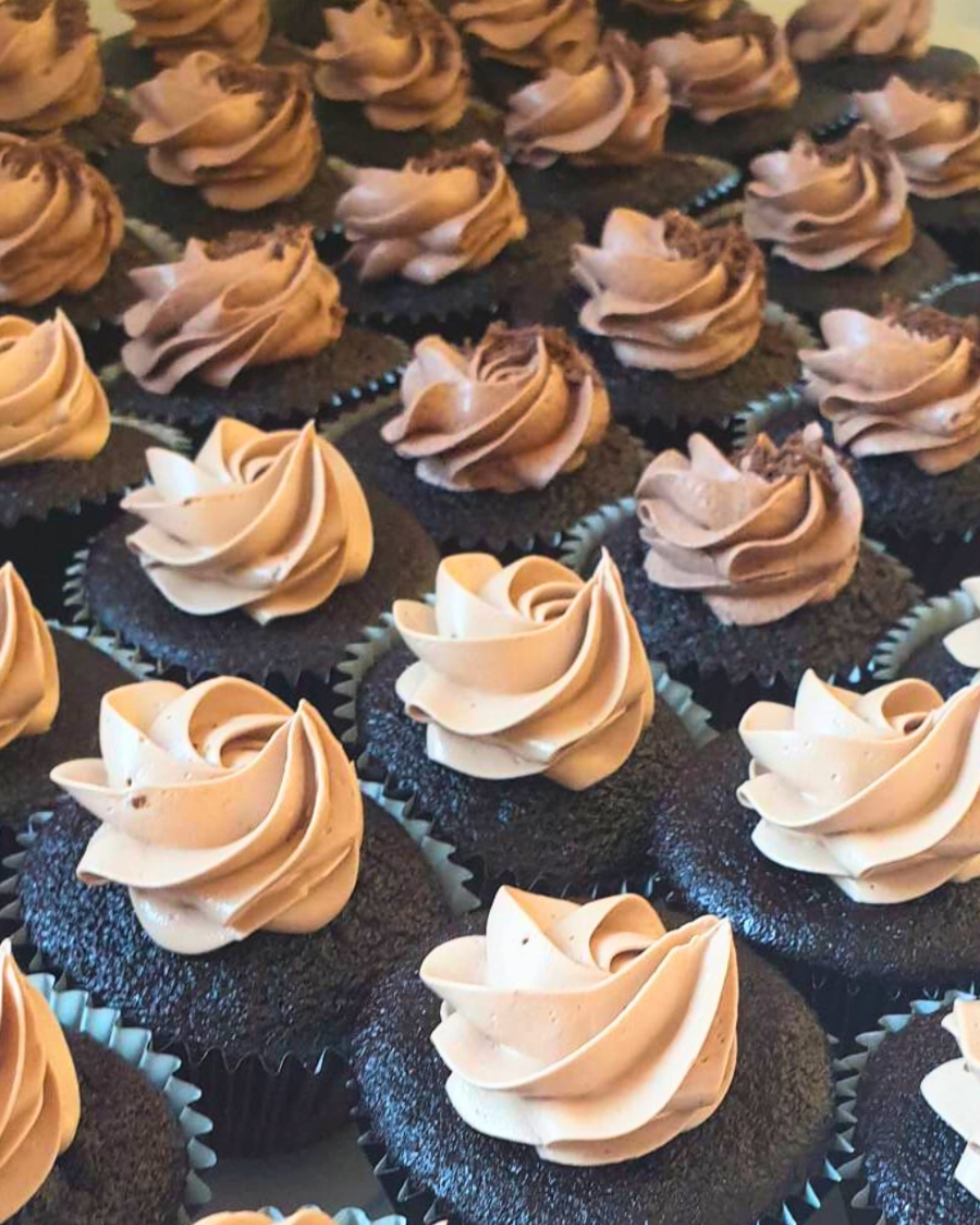 Untitled design(281).png