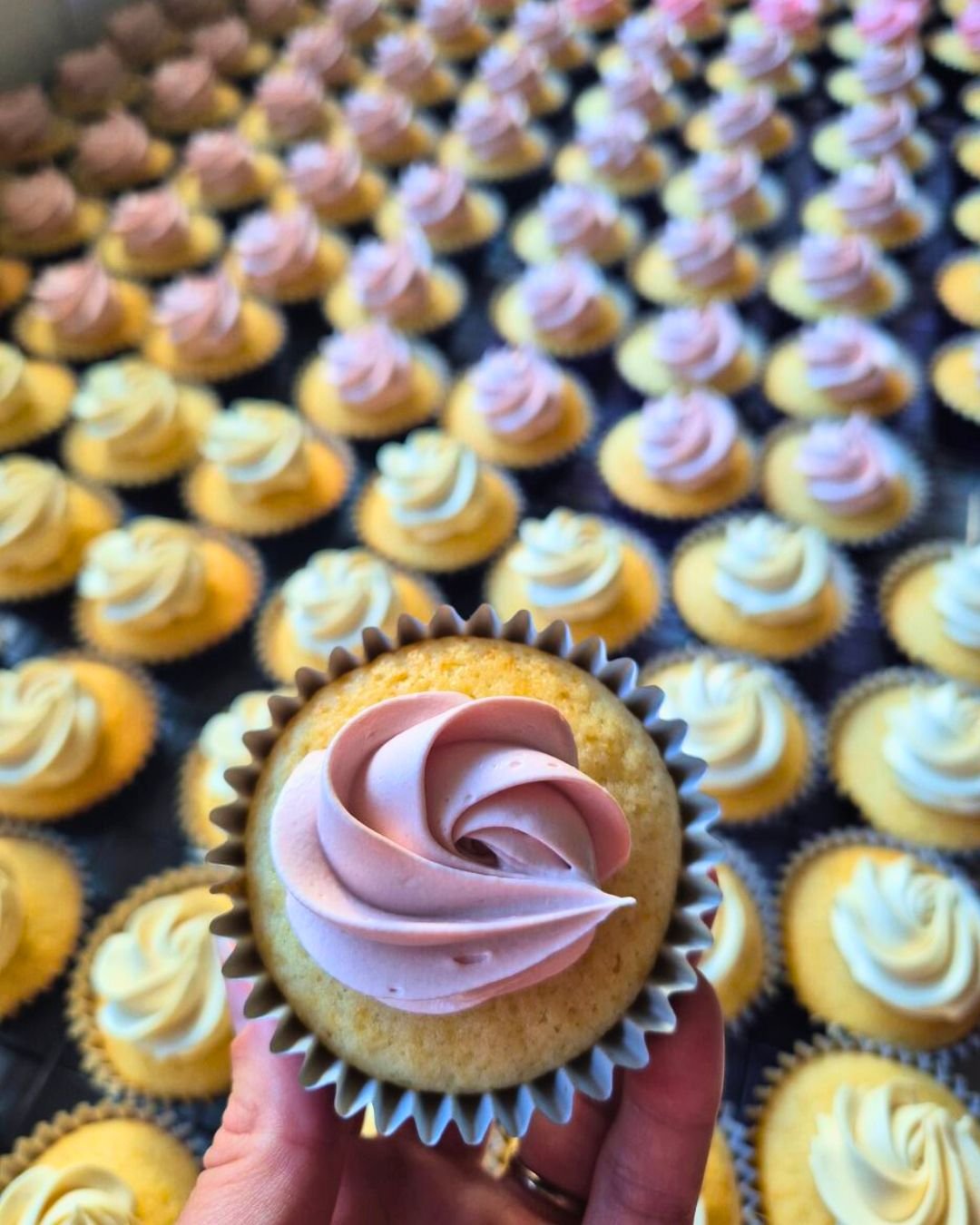 Untitled design(98).jpg