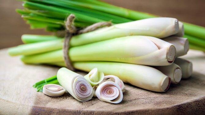 lemongrass.jpeg