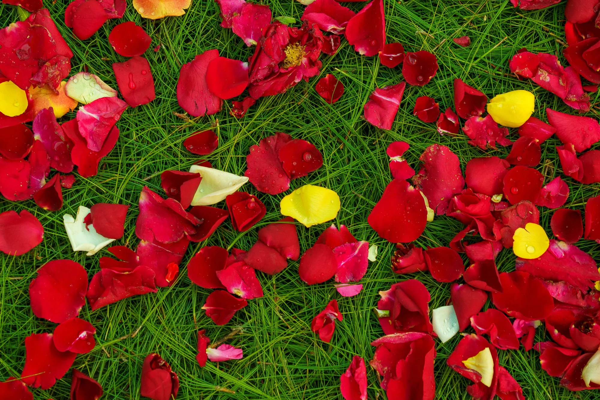 Guatemala- Pat'Alaska-06040.jpg