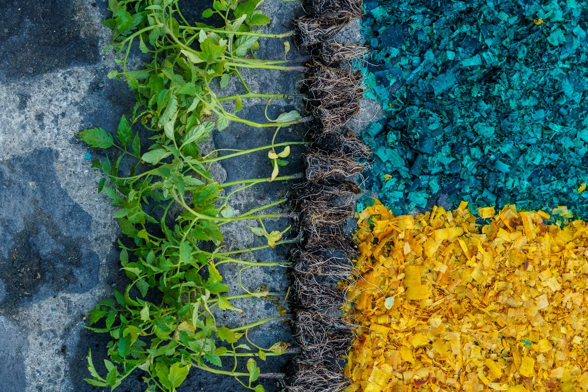 Guatemala- Pat'Alaska-06028.jpg