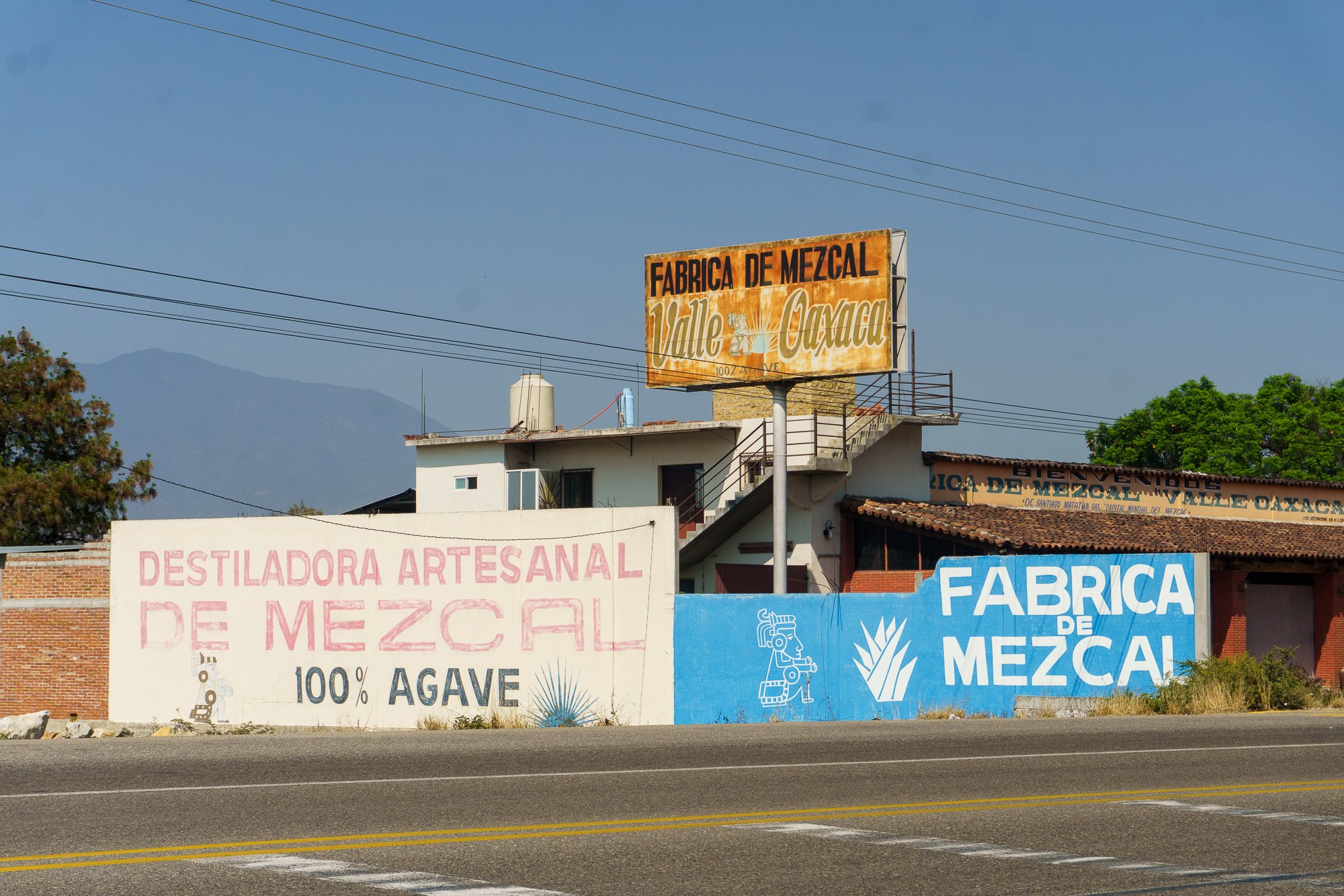 Mexico -Wilderland-03290.jpg