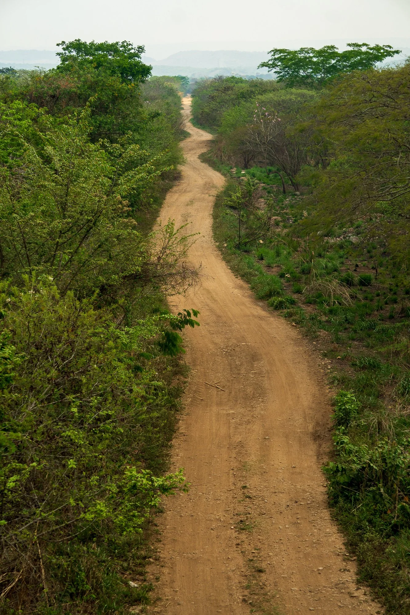 Mexico -Wilderland-02377.jpg