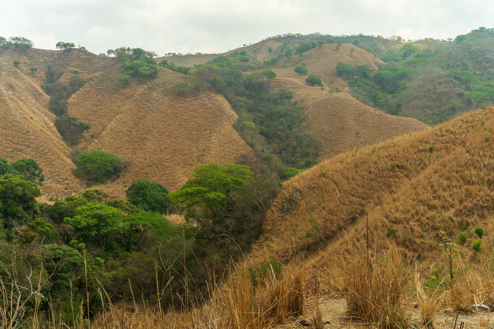 Mexico -Wilderland-02406.jpg