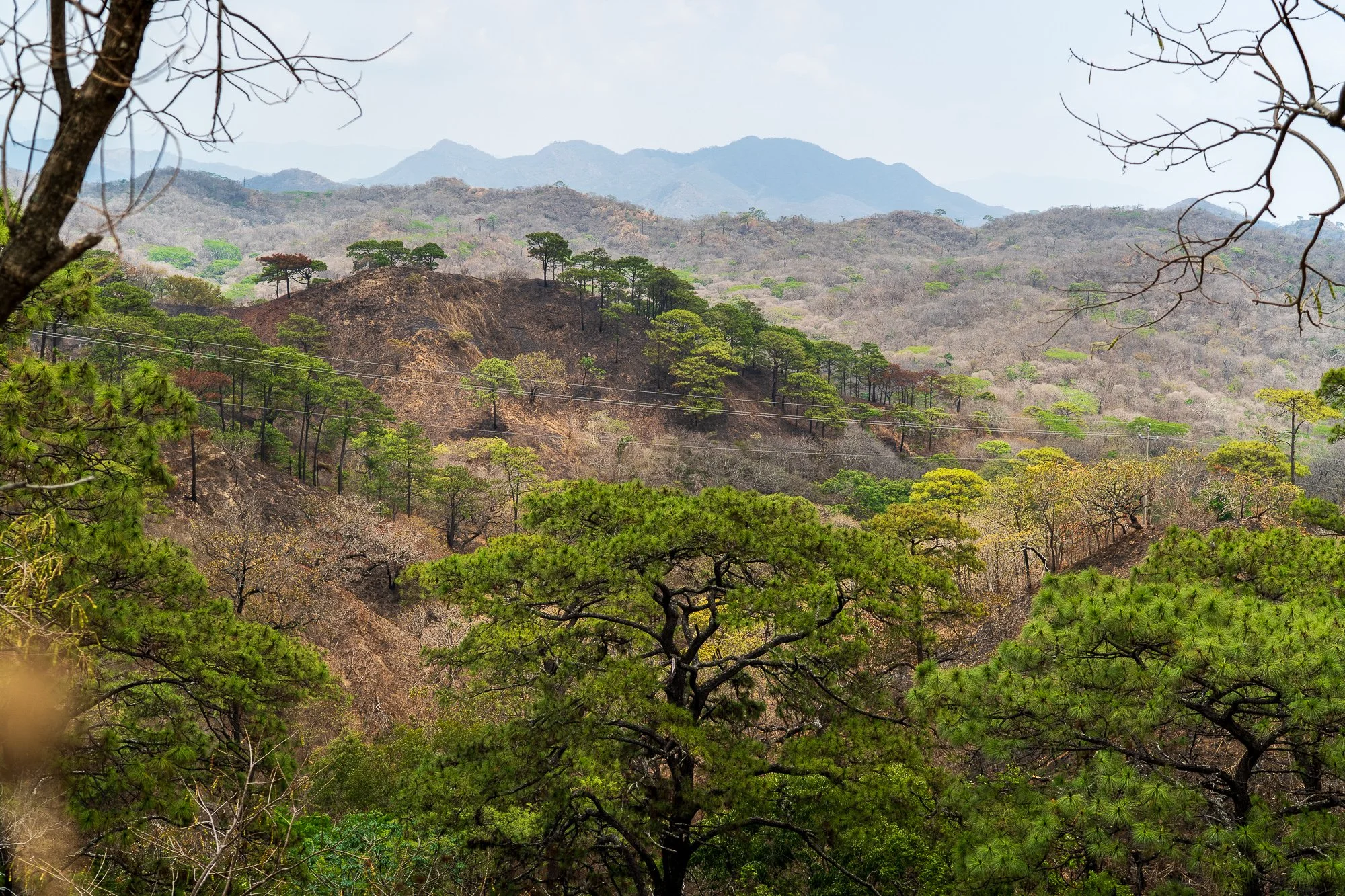 Mexico -Wilderland-08739.jpg