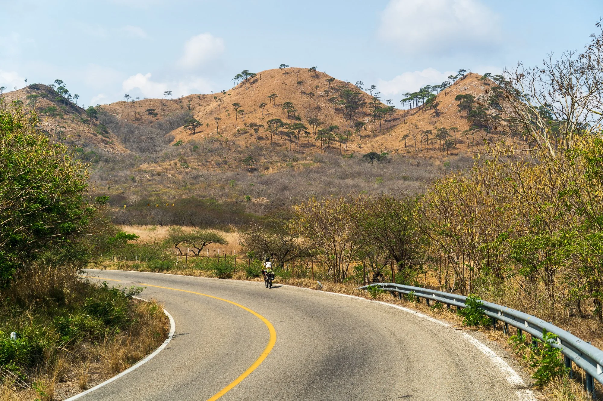 Mexico -Wilderland-08734.jpg