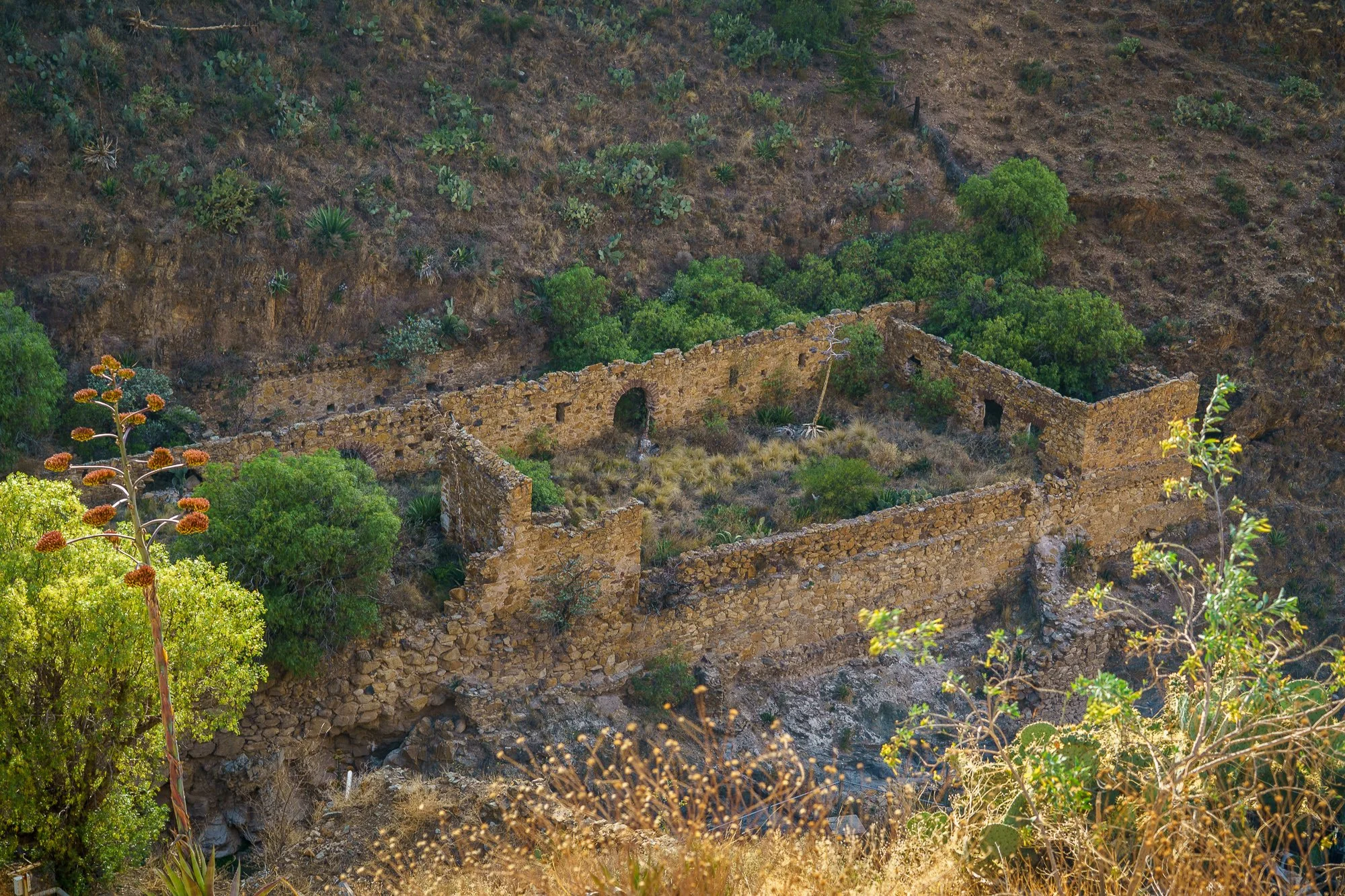 Mexico -Wilderland-01438.jpg