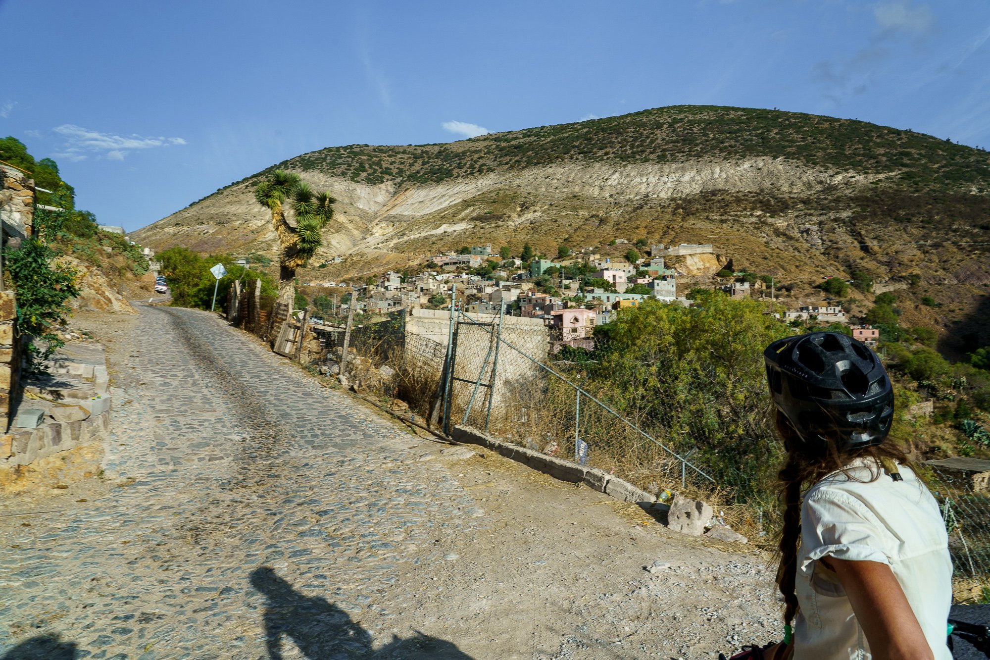 Mexico -Wilderland-01443.jpg