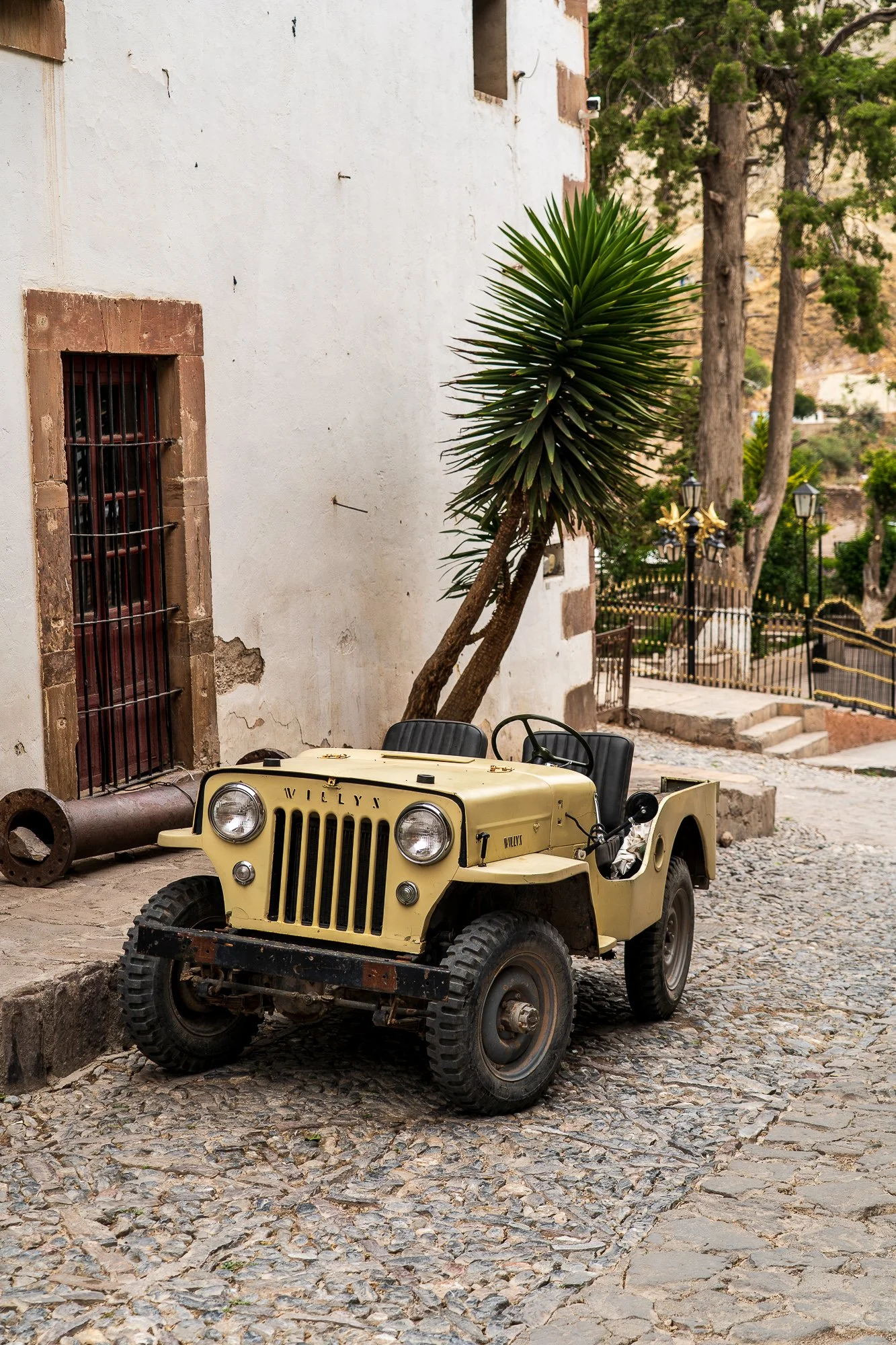 Mexico -Wilderland-01452.jpg