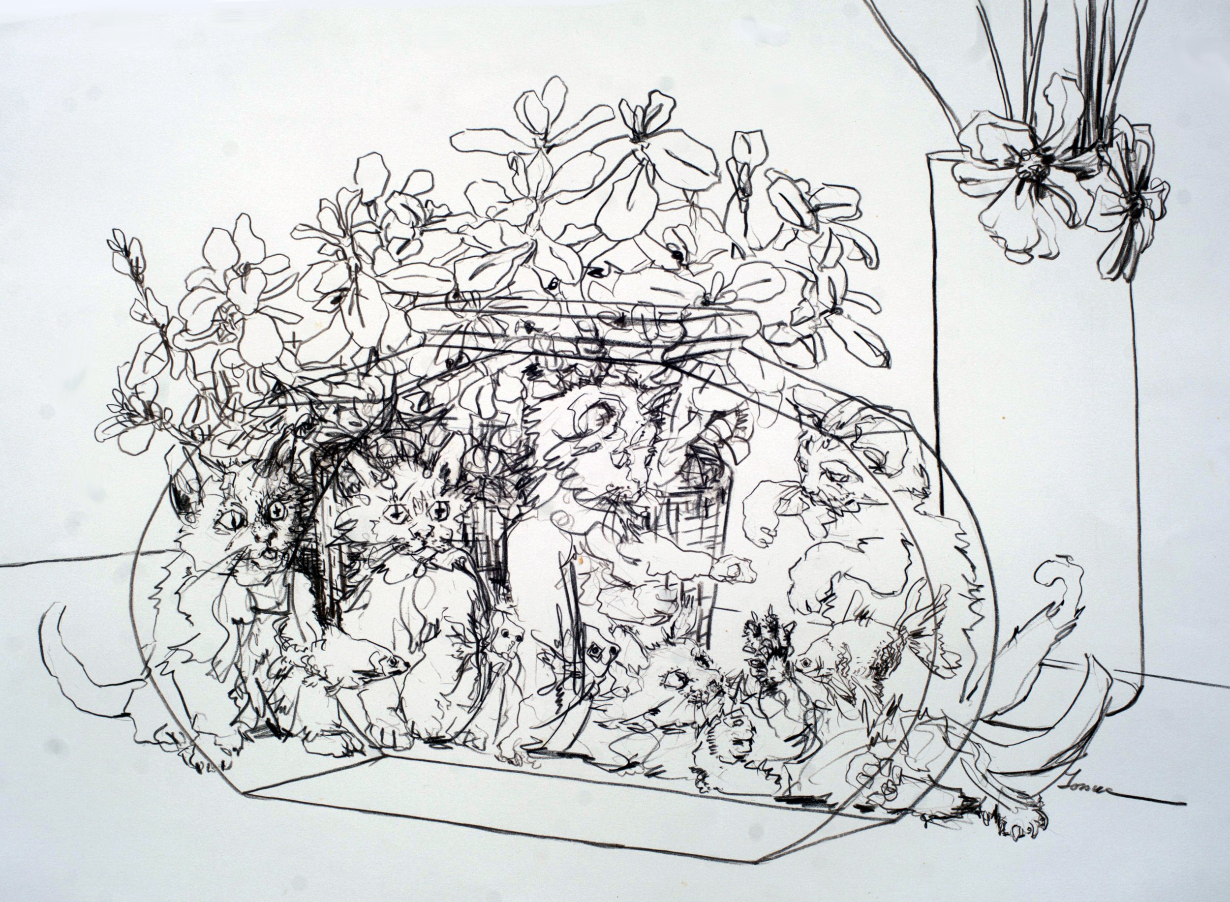 Fish, Kittens, Plant, and Flowers