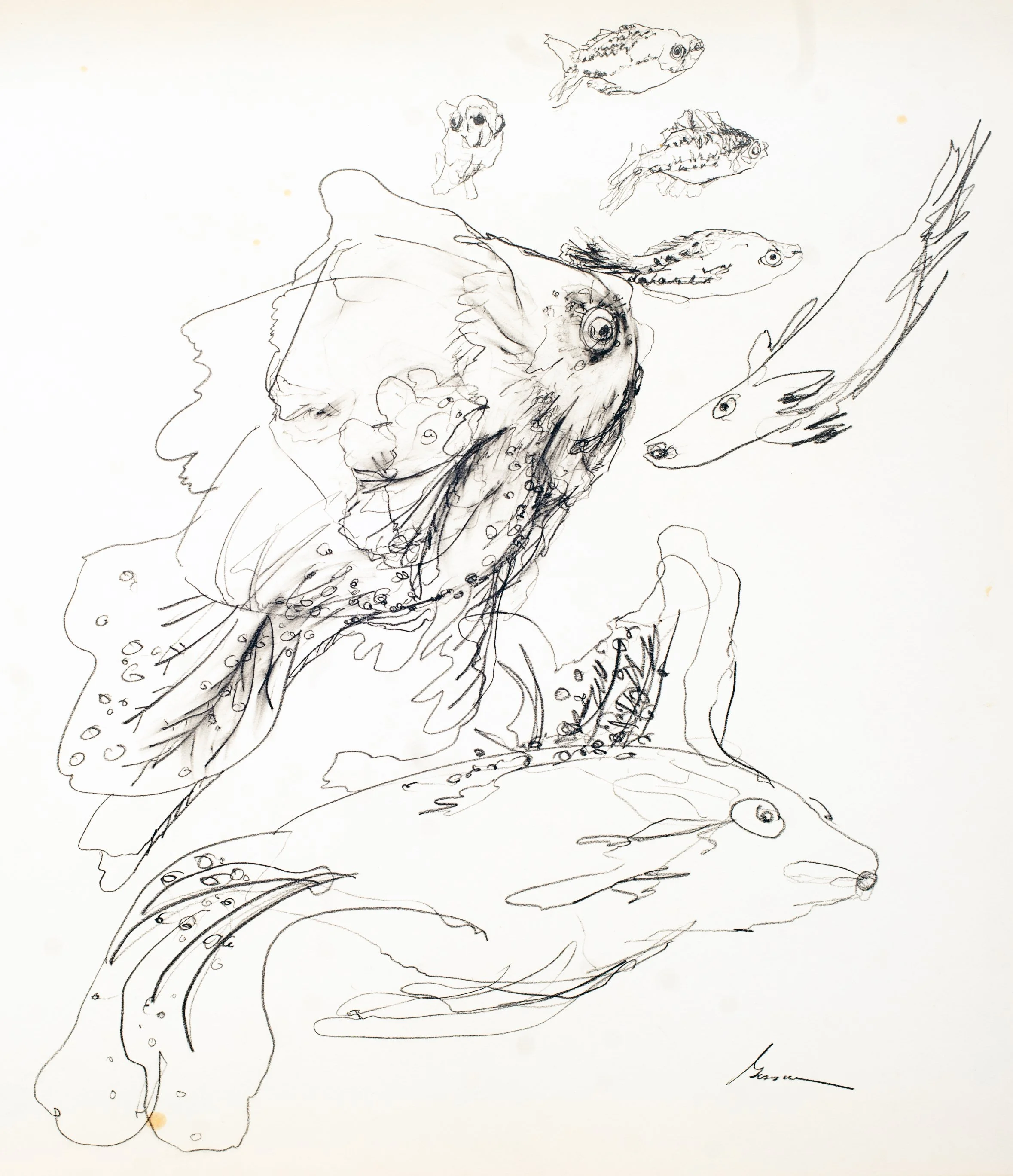 Swimming Fish
