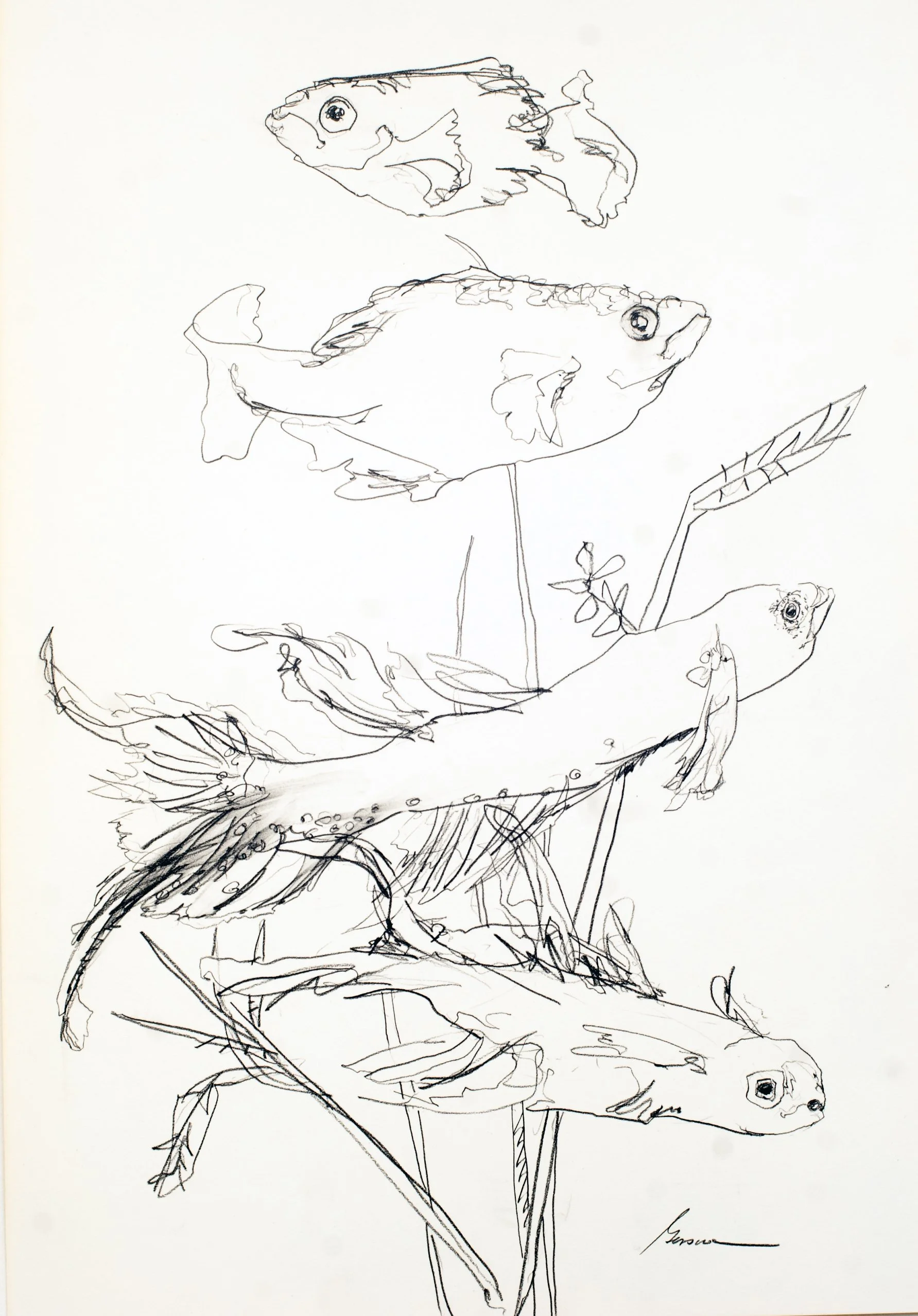 The Water Dwellers