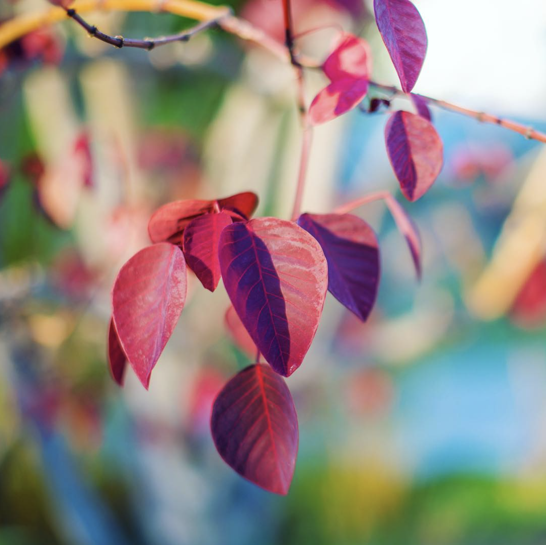 Screenshot 2026-03-02 at 2.02.57 AM.png