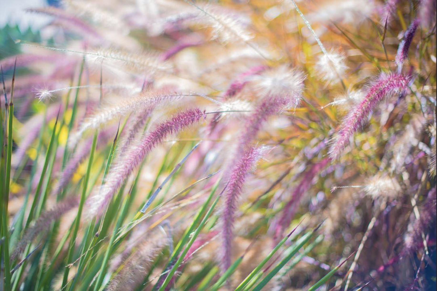 Screenshot 2026-03-02 at 2.03.50 AM.png