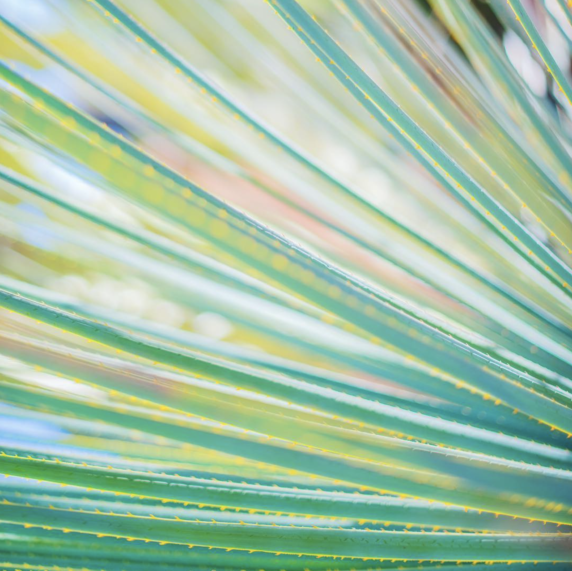 Screenshot 2026-03-02 at 2.03.31 AM.png