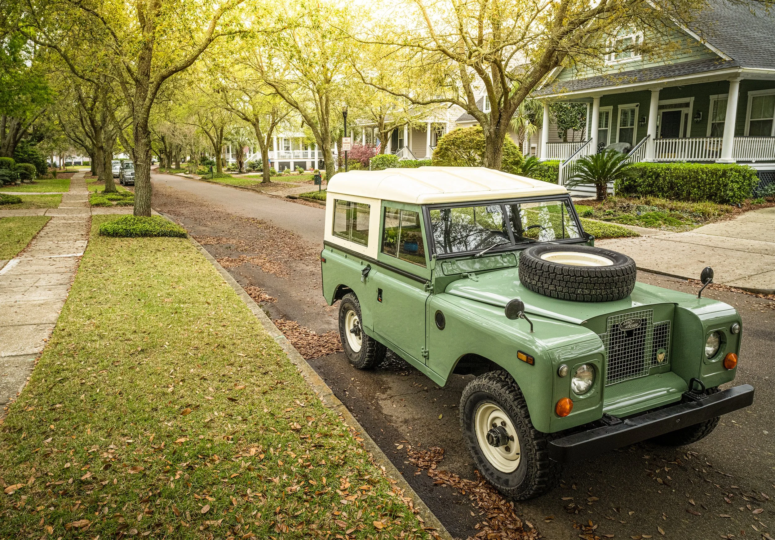 _DGL2669 CC small.jpg