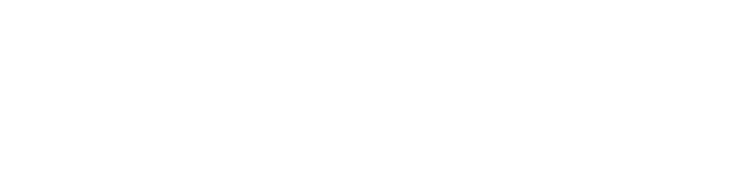 Excelsior Financial