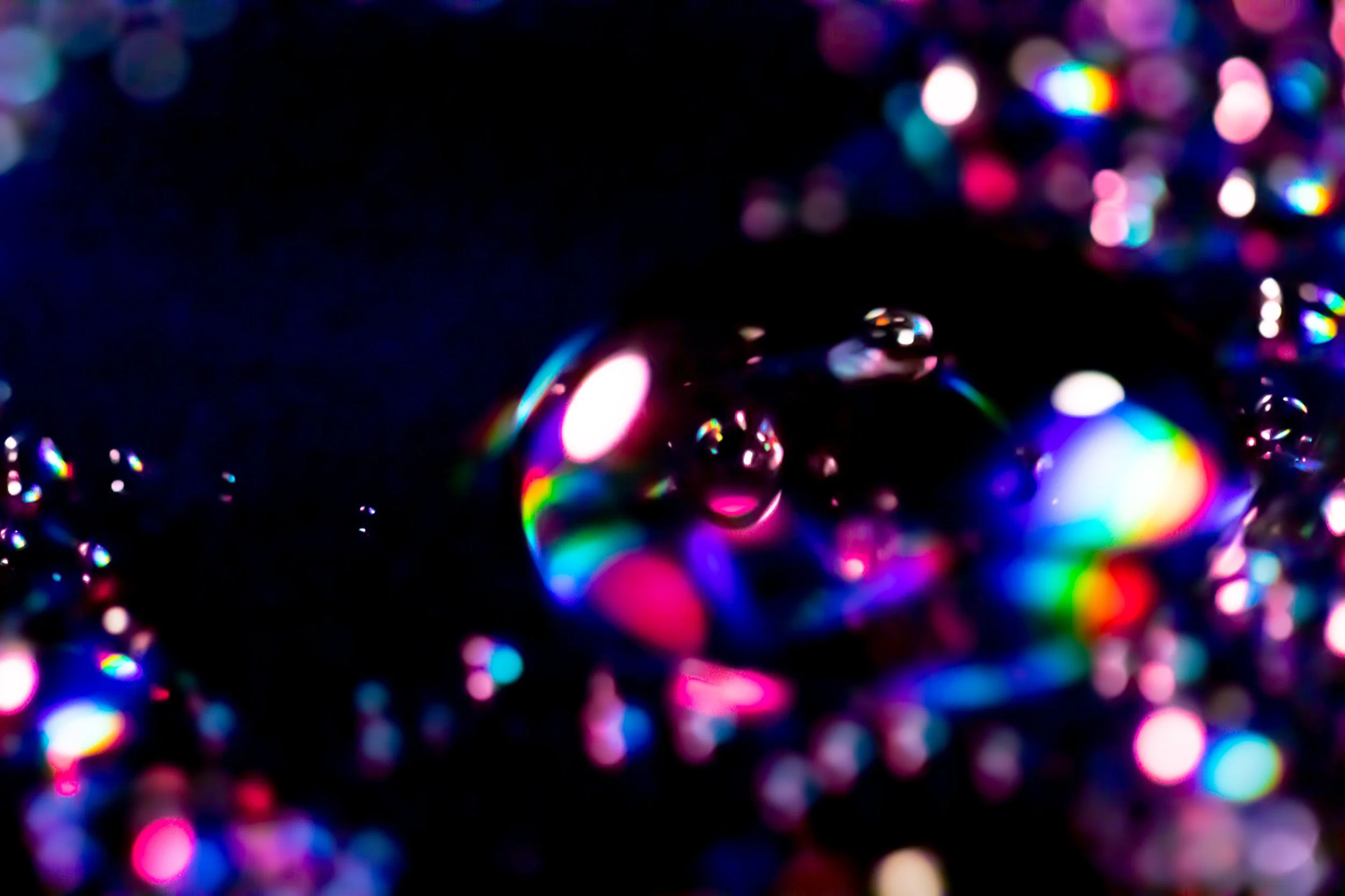 _MG_2696.jpg